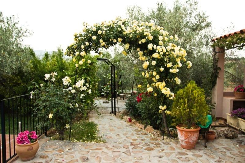 Casas Rurales Cazorla-Alcon 포조알콘 객실 사진