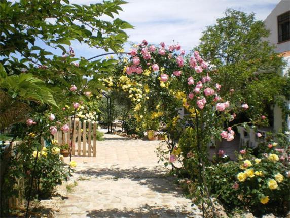Casas Rurales Cazorla-Alcon 포조알콘 객실 사진