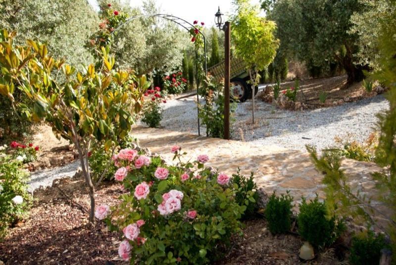 Casas Rurales Cazorla-Alcon 포조알콘 객실 사진