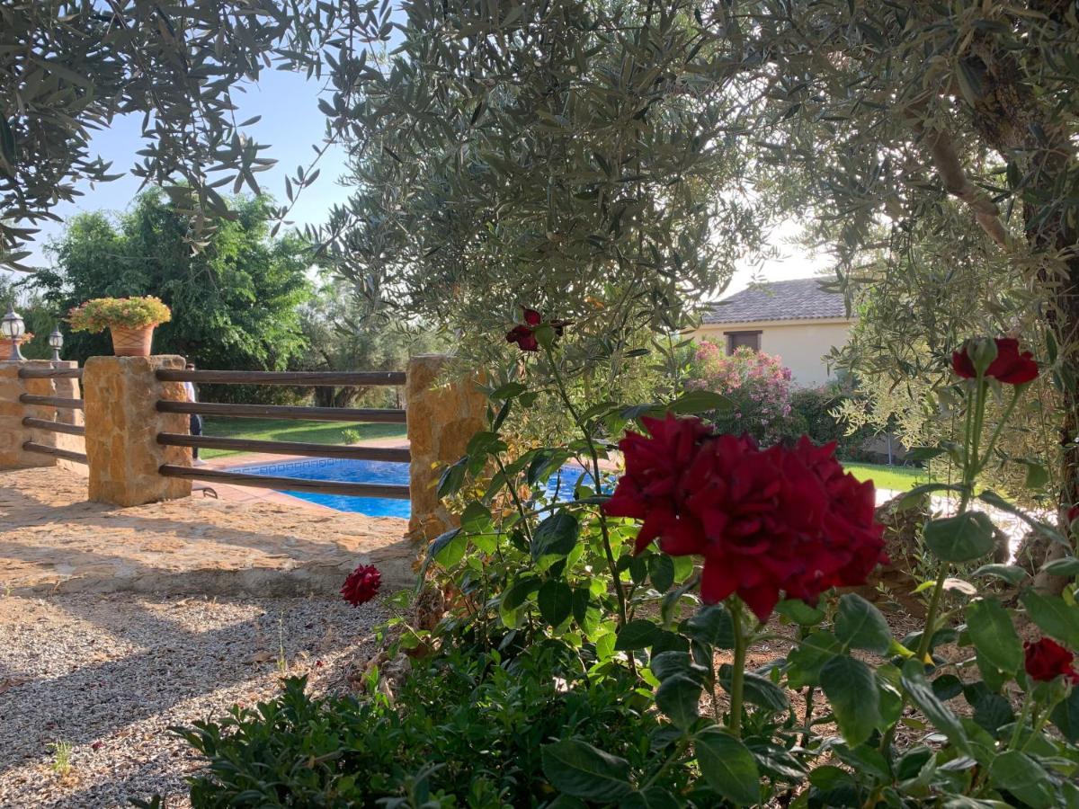 Casas Rurales Cazorla-Alcon 포조알콘 외부 사진