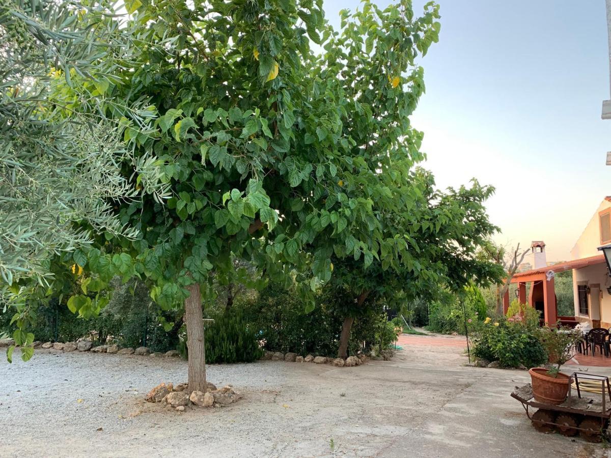 Casas Rurales Cazorla-Alcon 포조알콘 외부 사진