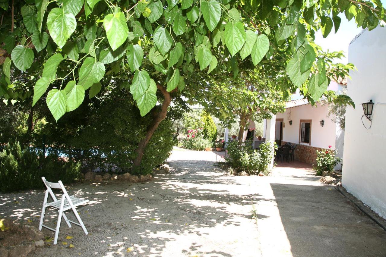 Casas Rurales Cazorla-Alcon 포조알콘 외부 사진
